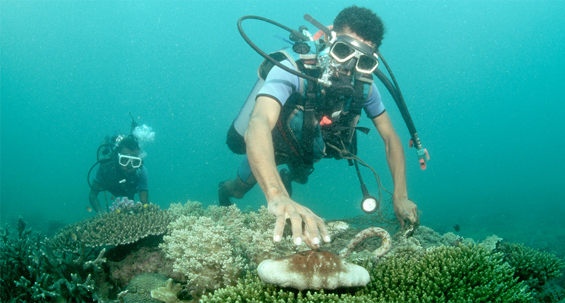 The growing demand for sea cucumbers has prompted traders in Zanzibar to call for regulation of exports of the marine species.  They say trade in the sea cucumber is unregulated on the island, with poachers smuggling it to Asian markets.  In China and Hong Kong, a kilogramme of processed sea cucumbers can go for as much as $300, depending on the species. In Zanzibar, the price ranges between Tsh20,000 ($9) and Tsh100,000 ($44.5), depending on the type and size.  Fishermen told The EastAfrican that the sea cucumbers are processed and exported either by sea or air to China, Hong Kong and Dubai, where the demand is high.  