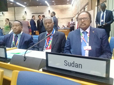 Sudan Imports Over 200 Million Dollar Worth of Paper Products