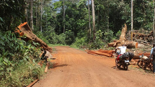 Cameroon plans to build four highways by 2025