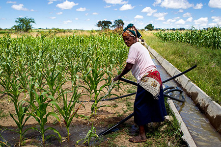 Tanzania Big Relief to Farmers After Fertiliser Prices Come Down 40 pc