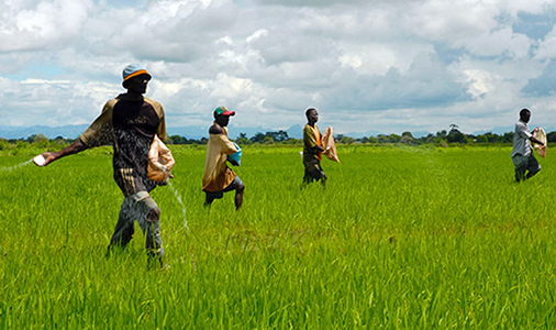 2,000 Tonnes of Fertiliser Being Ferried Southward of Tanzania