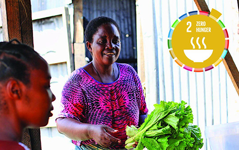 Tanzania fights malnutrition by investing in food production