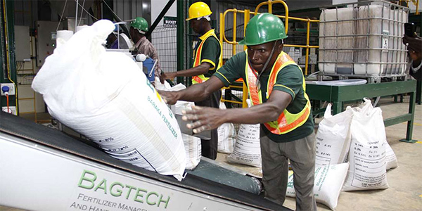 Kenyan Fertiliser supplier woos farmers with free-delivery app