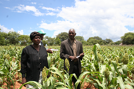 Ghana Farmers to Increase Yields With New Biological Fertilizer