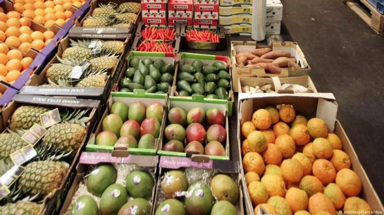 A report shows total Egyptian agricultural exports rise to 3.1m tonnes