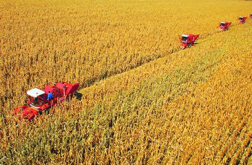 A new investment opportunity in Zimbabwe-agricultural equipment leasing