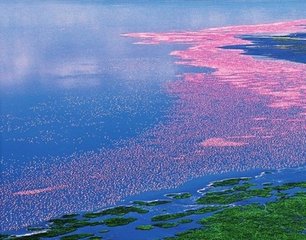 Sustainable blue economy  in Nigeria