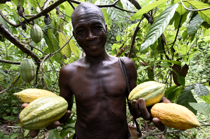 The economic diversity of Nigeria is not yet obvious