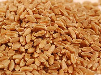 The import figure analysis of bulk wheat,salt and frozen fish in Nigeria