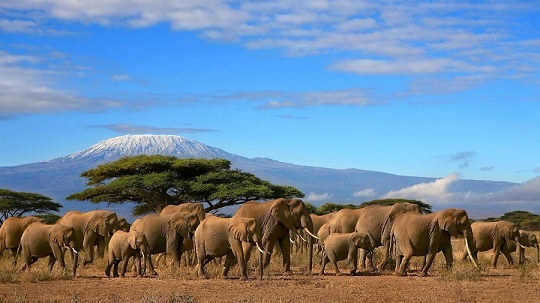 The African Tourism Market is Evolving Rapidly