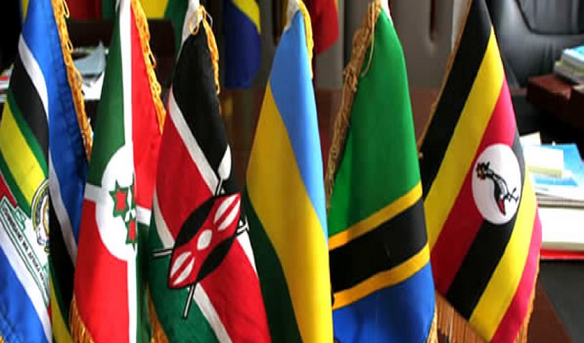East Africa was Estimated to be the Strongest Economic Area in Africa