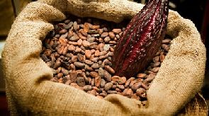 Ghana government commits GH₵50 million to coffee production