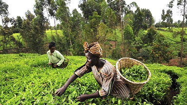 Nigeria's Bank of Agriculture gets N250 billion lifeline