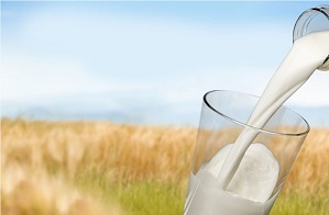 The Dairy Association of Zambia gets $2 million from Swedish government