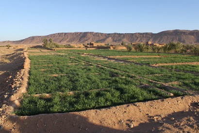 Moroccan Government Approve Land Projects to Increase Revenue