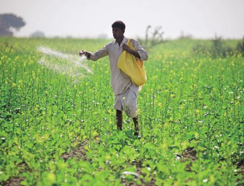 The decline in fertilizer imports in Kenya has affected the output