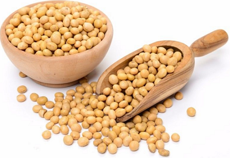 Ethiopian soybeans have grown substantially