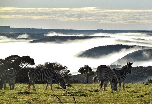 Analysis of the prospects of African tourism