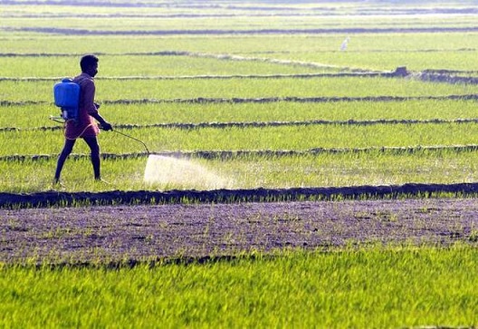 Zimbabwe fertilizer industry faces challenges