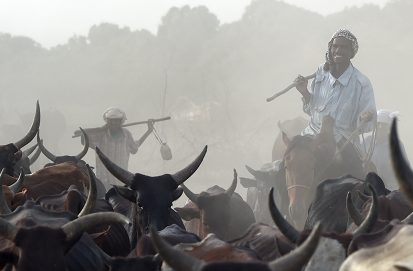 African meat industry flourishes