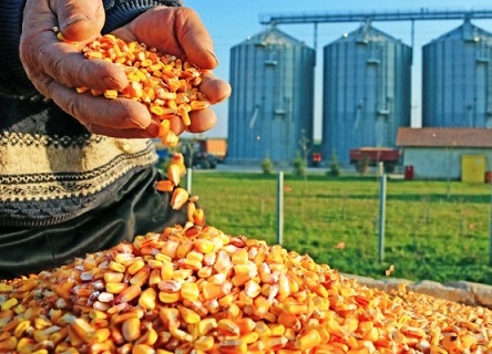 Nigeria plans to establish agro-industrial processing zones