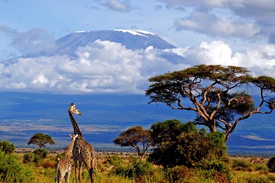 Tanzania's blueprint for middle-income nation