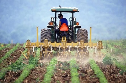 Tanzanian government told to speed up agricultural insurance plan