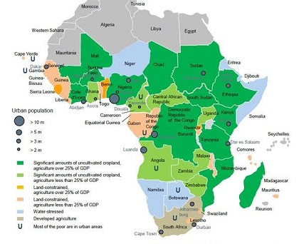 Ghana Agricultural Sector Analysis