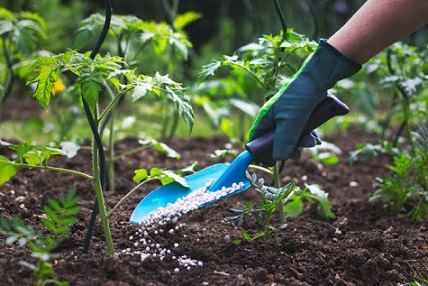 Fertilizer Trade Statistics Overview in Kenya