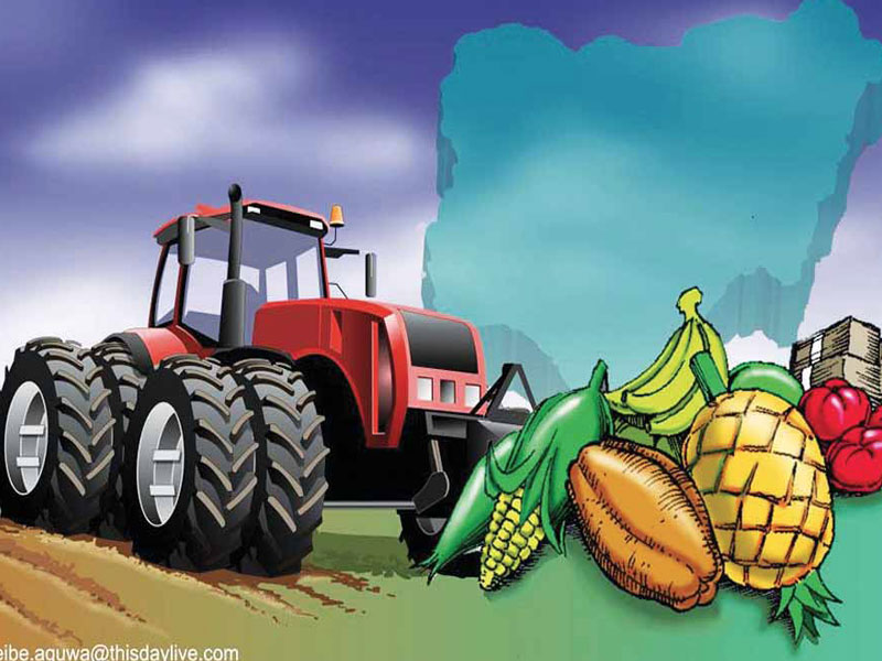 Nigeria:Strengthening Domestic Production through Import Substitution