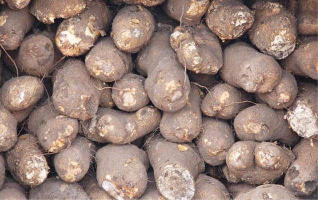 I Built Hotel From My Yam Farms – Adeniyi
