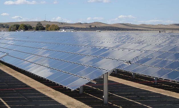 Yellow economy is way to achieve Egypt's sustainable development: Economist