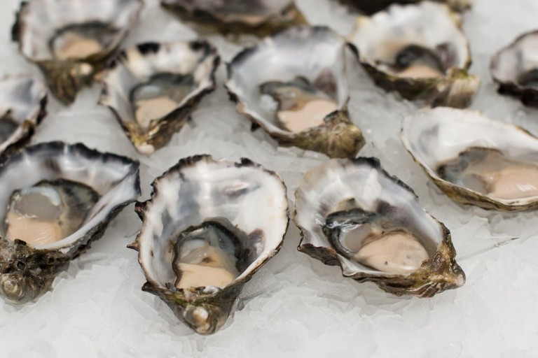 Morocco Invests $1.4 Million Into Souss-Massa Aquaculture