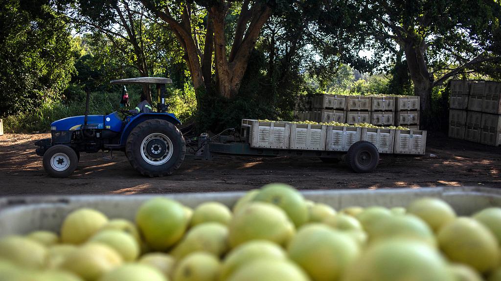 South Africa prepares $66m to help farmers affected by COVID-19