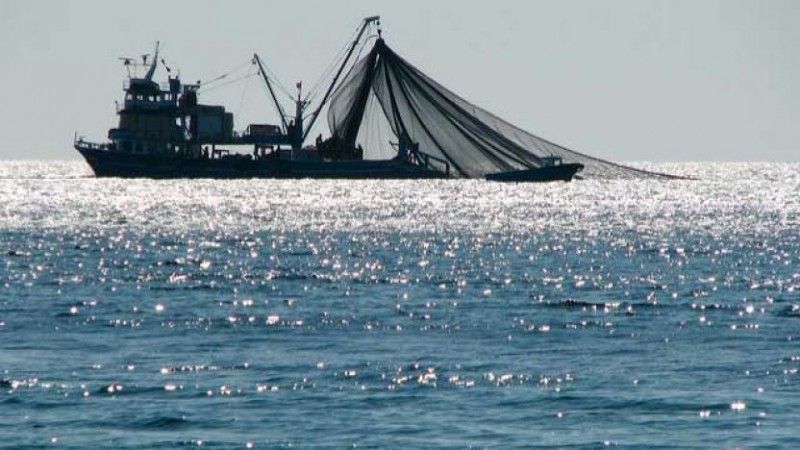 Moroccan Fish Products Increased by 36% in 2021
