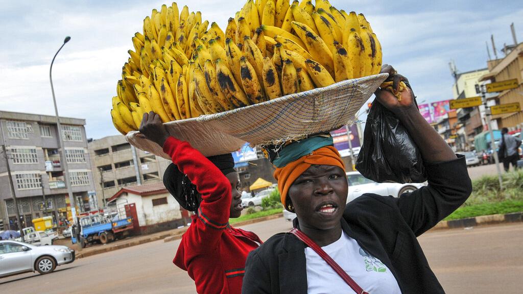This is why food is expensive in your country