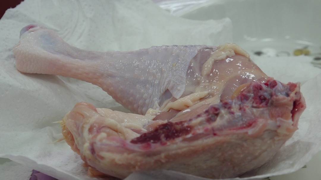 Over $600m spent on imported chicken in 2022 – poultry farmers unhappy