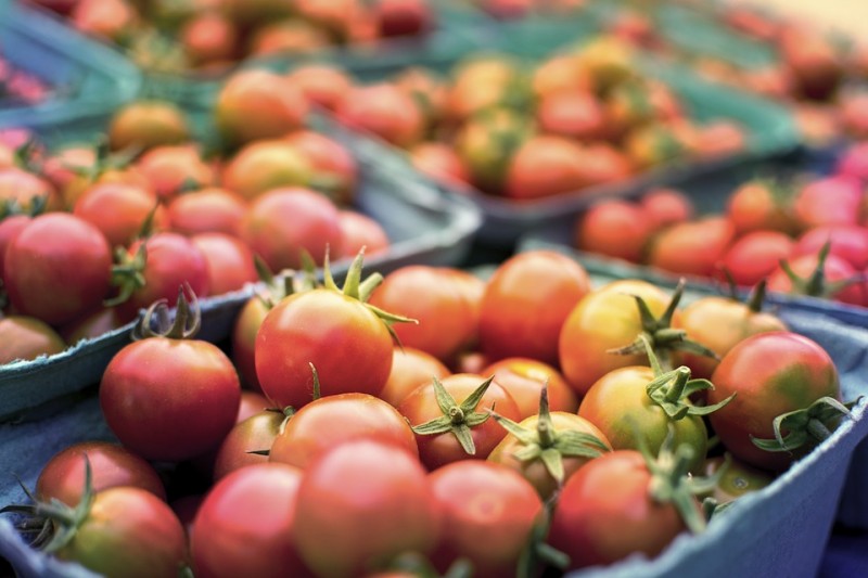Morocco's Agriculture, Maritime Exports Exceed $7.79 Billion Threshold in 2022