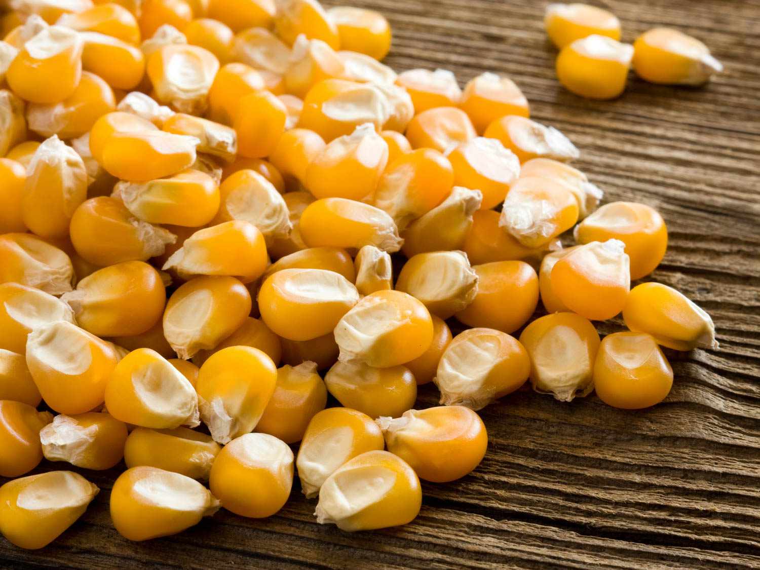 Egypt to launch first-ever corn tender