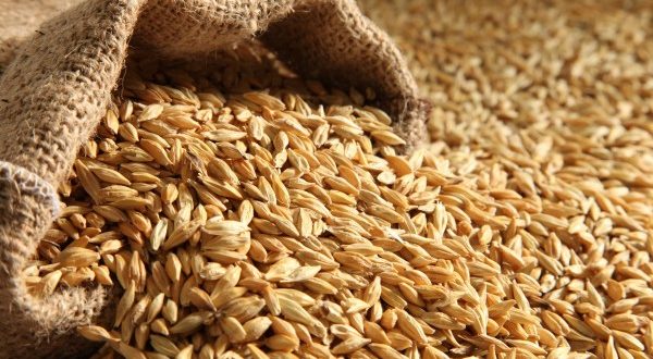 Morocco offers $0.5 bln in aid to help farmers access animal feed