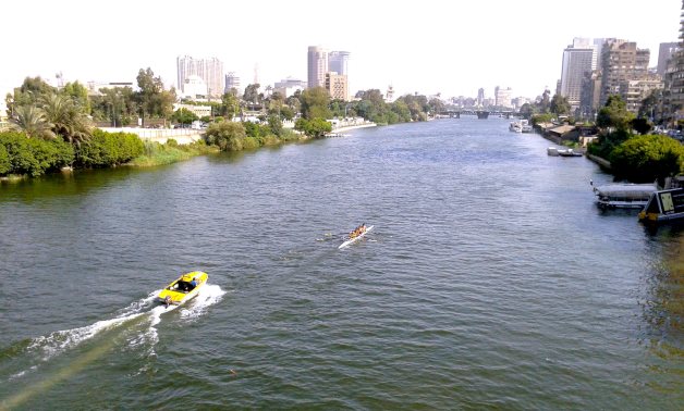  Egypt has implemented 400 projects in Nile Basin countries: Water Minister