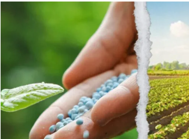 African Forum on Agricultural Investment Gathers Momentum in Benguerir