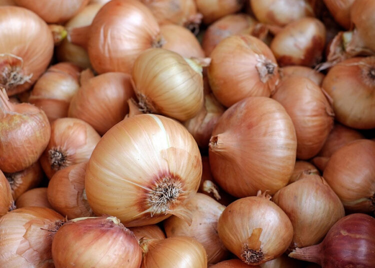 Morocco Sets Record in Fresh Onion Exports After Lifting of Ban