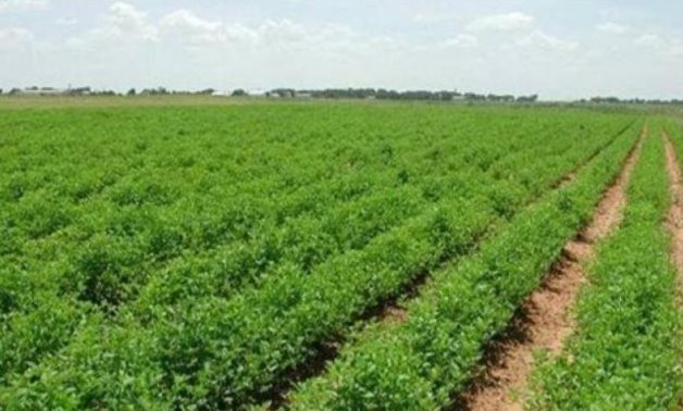 Total agricultural exports hit 7.5 million tons so far: Agriculture min.